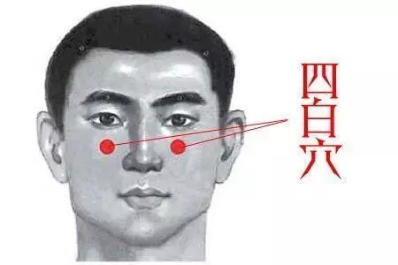【每日一穴: 四白穴】