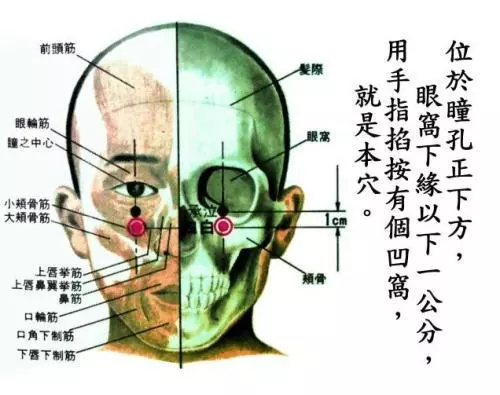 【每日一穴: 四白穴】