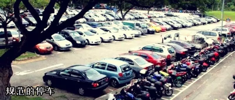 車頭先進也被罰 新加坡到底該怎麼停車?