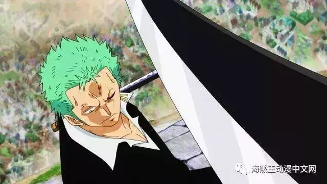 海賊王,被犧牲的三顆頂級果實,索隆吃任意一顆都能成大劍豪