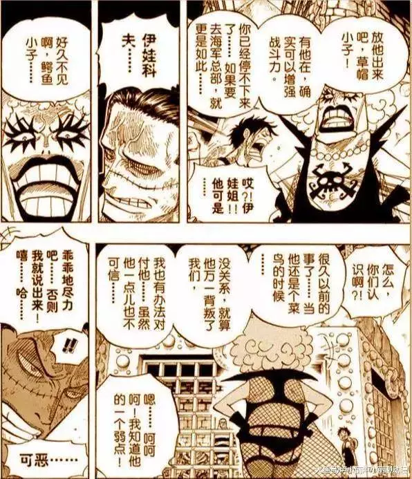 海賊王:這7人身世之謎一旦揭開,海賊王離完結也就不遠了!