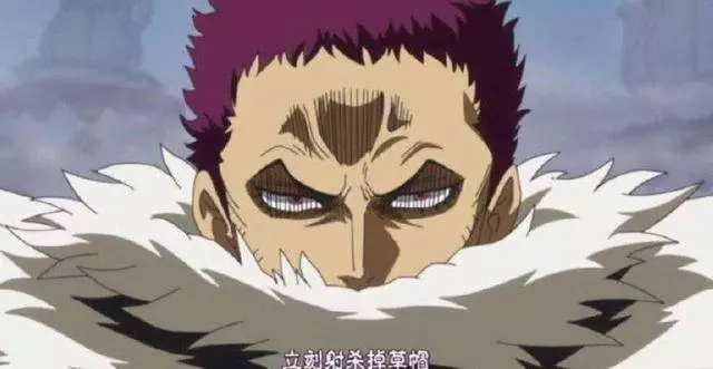 海賊王五顆最像自然系的惡魔果實,有人浪費資源,有人秒殺四皇!