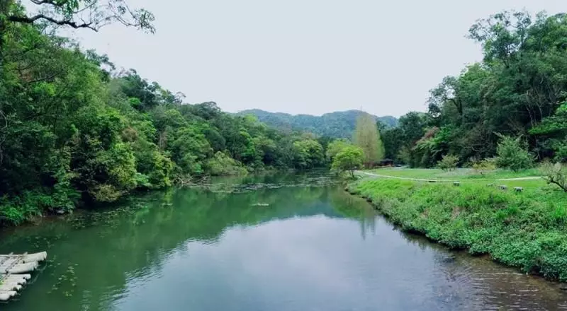 福山植物園今重新開放 「山羌美眉」嬌羞迎賓
