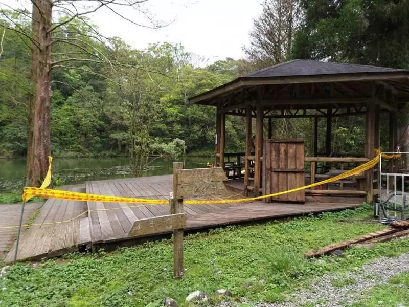 福山植物園今重新開放 「山羌美眉」嬌羞迎賓