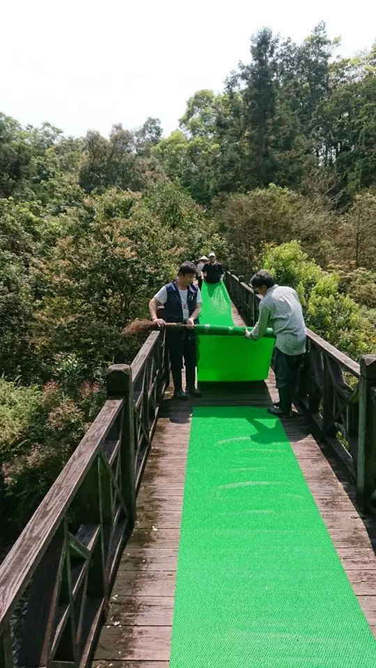 福山植物園今重新開放 「山羌美眉」嬌羞迎賓