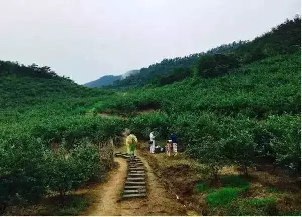 四對夫婦「抱團養老」!愛人在身邊,好朋友在隔壁,太美好了:我退休了也要這樣過 !