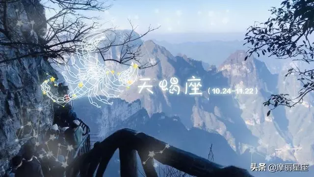 哪些星座在愛情受過傷,就難以治癒,就算癒合也會留疤
