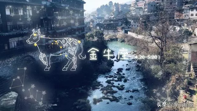哪些星座在愛情受過傷,就難以治癒,就算癒合也會留疤