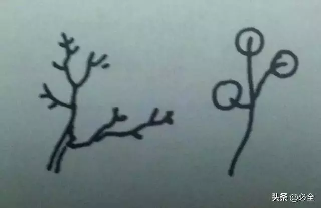 盆景中常見的結頂方式有哪些呢?
