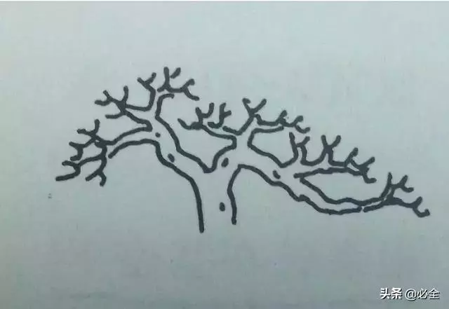 盆景中常見的結頂方式有哪些呢?