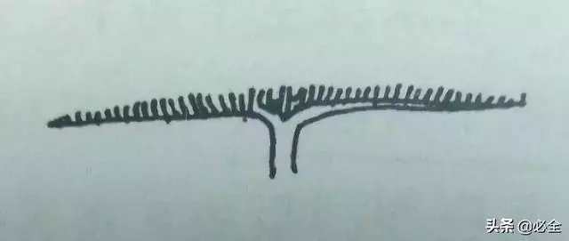 盆景中常見的結頂方式有哪些呢?