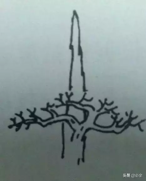 盆景中常見的結頂方式有哪些呢?