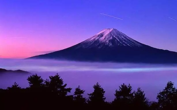 西方遊客到日本後大呼「奇葩」的10樣東西,膠囊旅館在列