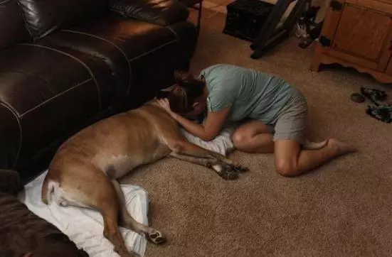 在狗狗心中,自家主人是這樣的