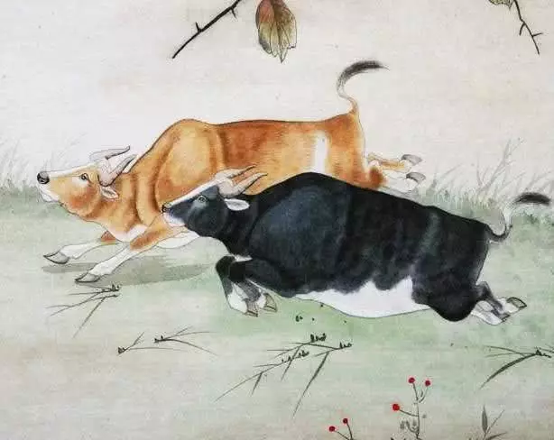 4月邂逅桃花運,月老偏愛、好運圍繞,轉角遇到愛的5大生肖!