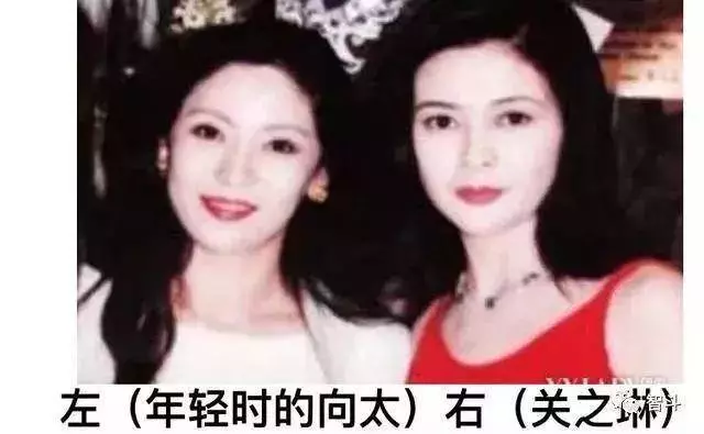 向華強有錢有顏值,為什麼專寵向太30年?那你就看看向太太年輕的照片吧