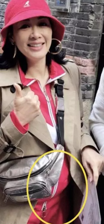 49歲鍾麗緹懷孕添實錘?小腹隆起,高齡還要生子被指太拼了