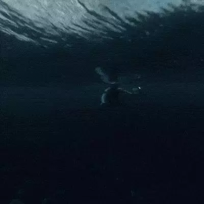真的不怕大海嗎? 22張「直擊最真實大海景象」的照片會讓你患上恐懼症