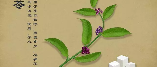 老人說「一兩茯苓一兩金」,春季茯苓好處多,但這3種做法,很多人都不知道