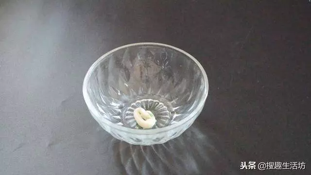 風油精加牙膏混合,作用太棒了,一年能省下不少錢,越早知道越好