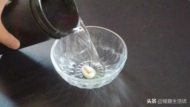 風油精加牙膏混合,作用太棒了,一年能省下不少錢,越早知道越好