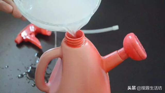 風油精加牙膏混合,作用太棒了,一年能省下不少錢,越早知道越好