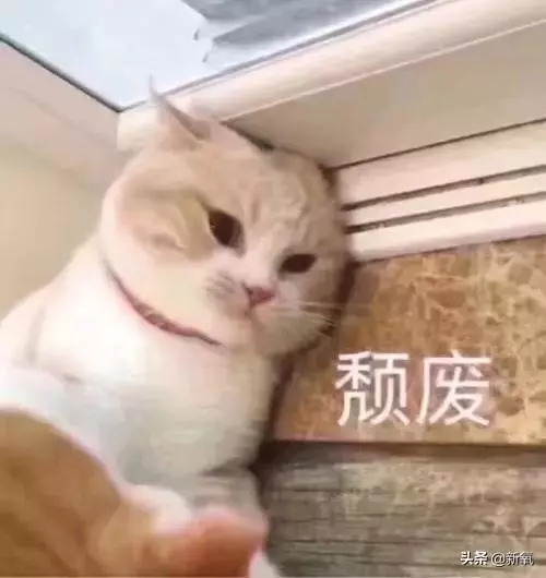 被向太拖進豪門的郭碧婷因800萬鑽戒被酸了?向佐回復甜炸了!