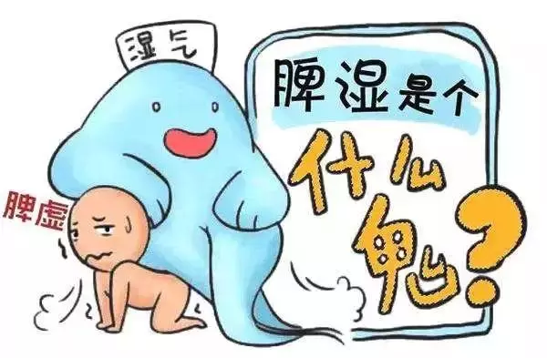 脾虛濕氣重怎麼調理好?學會1招,脾胃好了,祛濕更快 - 壹讀