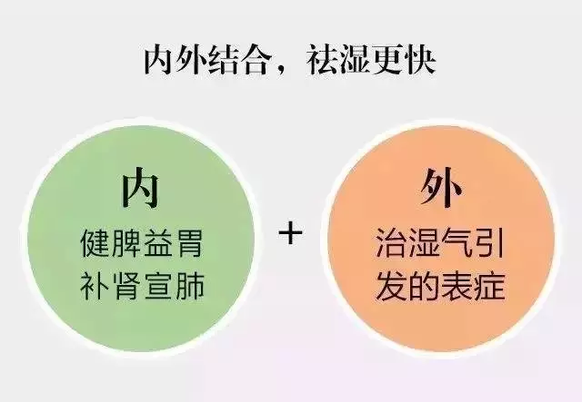 脾虛濕氣重怎麼調理好?學會1招,脾胃好了,祛濕更快 - 壹讀
