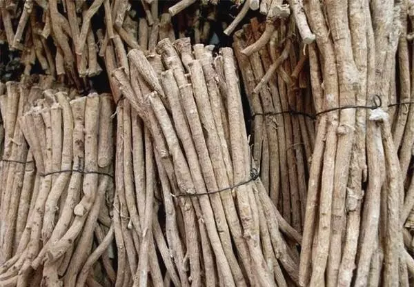 三餐規律,怎麼也得胃病?老中醫:濫用三種藥,胃不會好過 - 壹讀