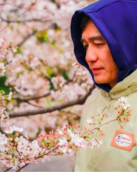 劉嘉玲曬梁朝偉賞櫻花照,躲在櫻花後的梁朝偉甜笑,眼神仍很憂鬱~