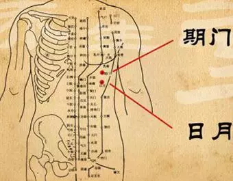 【每日一穴:期門穴】