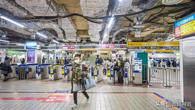 為什麼素質高的人更願去日本旅行?答曰:去坐一次車,你就明白了