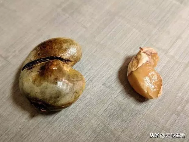 今天才知道外國人吃的水果跟我們真的不同,真想嘗一嘗