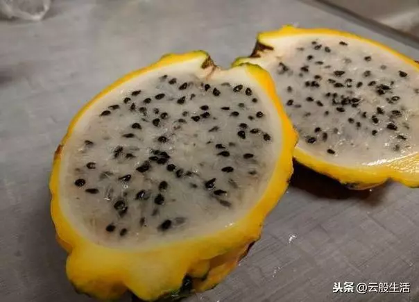 今天才知道外國人吃的水果跟我們真的不同,真想嘗一嘗