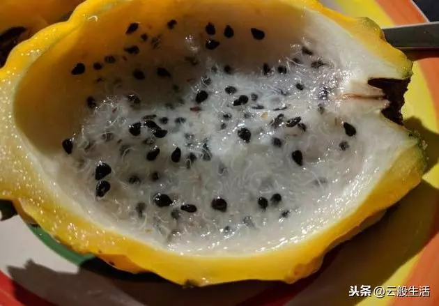 今天才知道外國人吃的水果跟我們真的不同,真想嘗一嘗