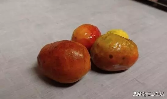 今天才知道外國人吃的水果跟我們真的不同,真想嘗一嘗