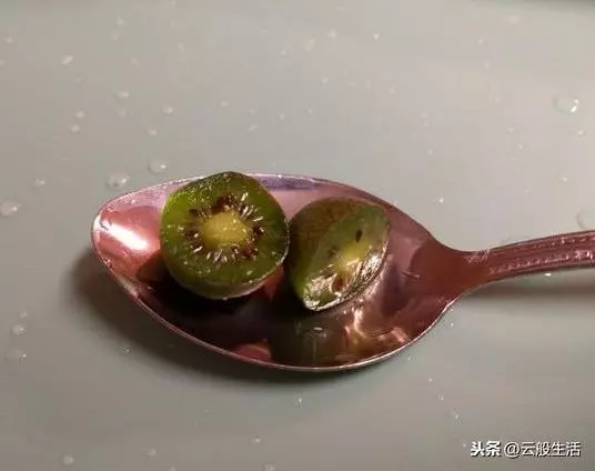 今天才知道外國人吃的水果跟我們真的不同,真想嘗一嘗
