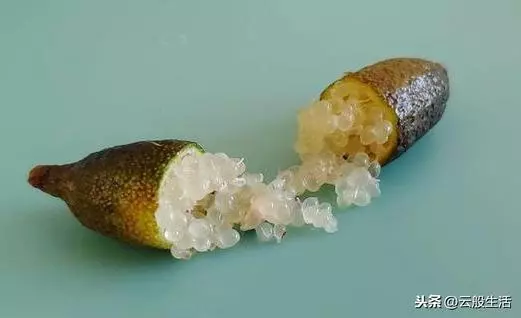 今天才知道外國人吃的水果跟我們真的不同,真想嘗一嘗