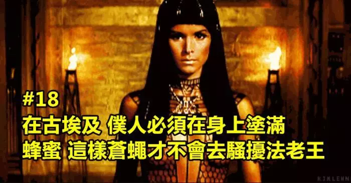 25個你聽完後會超想馬上忘掉的超驚悚冷知識!#4. 在獅群中,90%的母獅是負責狩獵的。