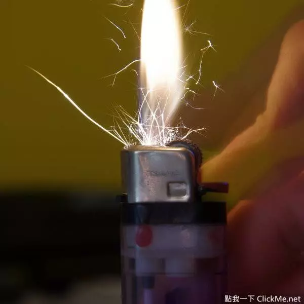 25個你聽完後會超想馬上忘掉的超驚悚冷知識!#4. 在獅群中,90%的母獅是負責狩獵的。