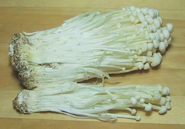 金針菇「連吃4週」內臟脂肪少20%、小腹消光光 專家透露:這樣吃最能瘦!