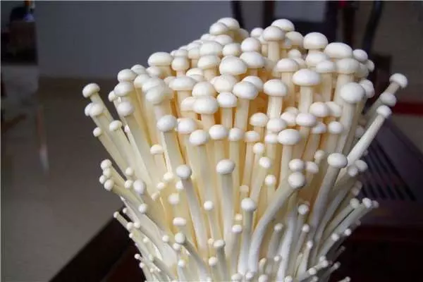 金針菇「連吃4週」內臟脂肪少20%、小腹消光光 專家透露:這樣吃最能瘦!
