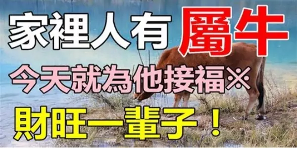 生肖牛:誰家有屬牛的,就在今天,趕緊為他接福,今天接了,財運旺一輩子