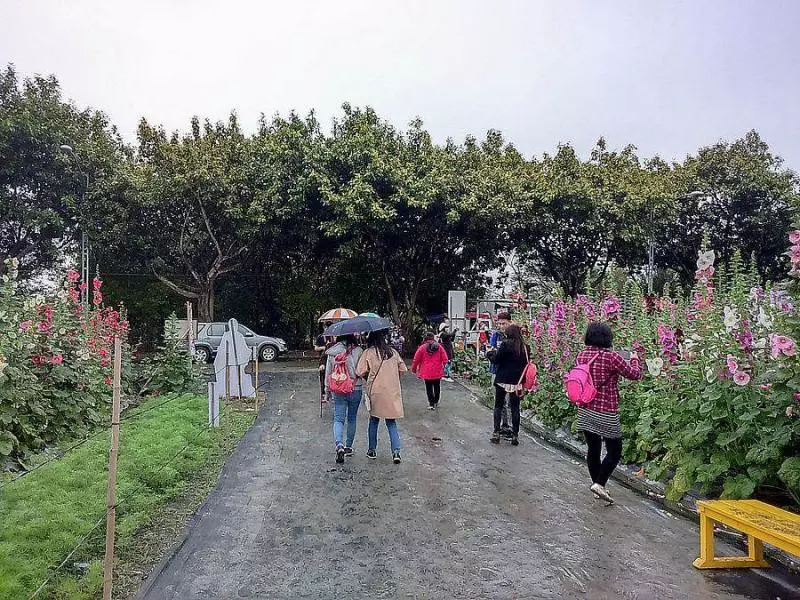 週三北、東部有雨!中南部高溫29度!清明天氣稍不穩
