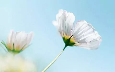 姥姥嫌棄我學費貴累到我媽,卻讓我媽站12個小時給她孫子掙學費
