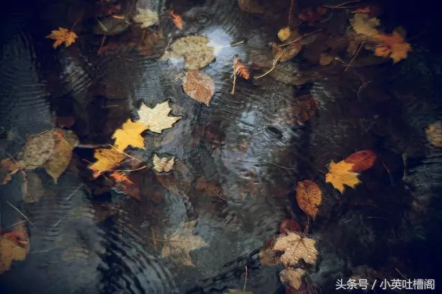 男人,請不要把你的妻子逼到絕路!
