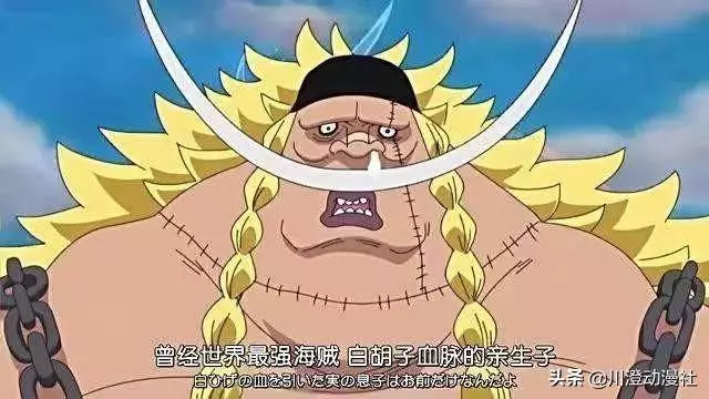 海賊王:路飛問鼎海賊王后,只有這四人能憑藉實力成為新一任四皇