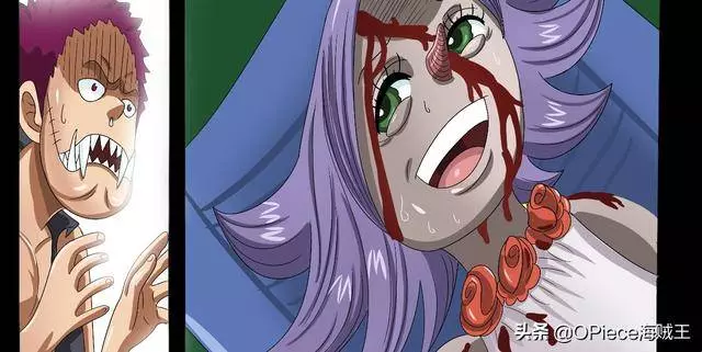 《海賊王》新世界強者+寵妹狂魔,完美人設背後的鮮知故事