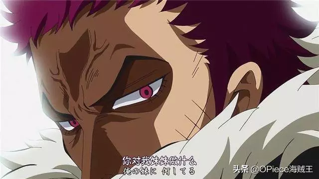 《海賊王》新世界強者+寵妹狂魔,完美人設背後的鮮知故事